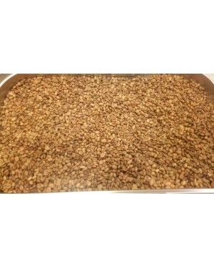 كيلو بن هرري وسط حب