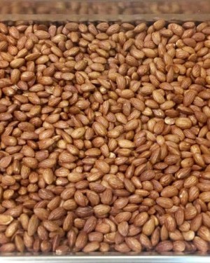 American almond roasted salt & lemon 1/2kg