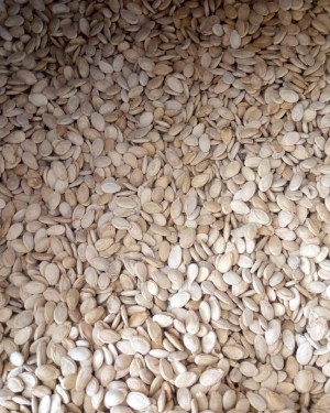 كيلو فصفص سوبر مصري