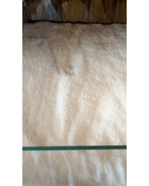 جوز هند نص كيلو